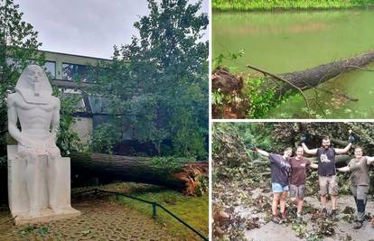 Ravnatelj Zoološkog u Zagrebu: 'Vrt je zatvoren do daljnjega, ali sve životinje su žive i zdrave!'