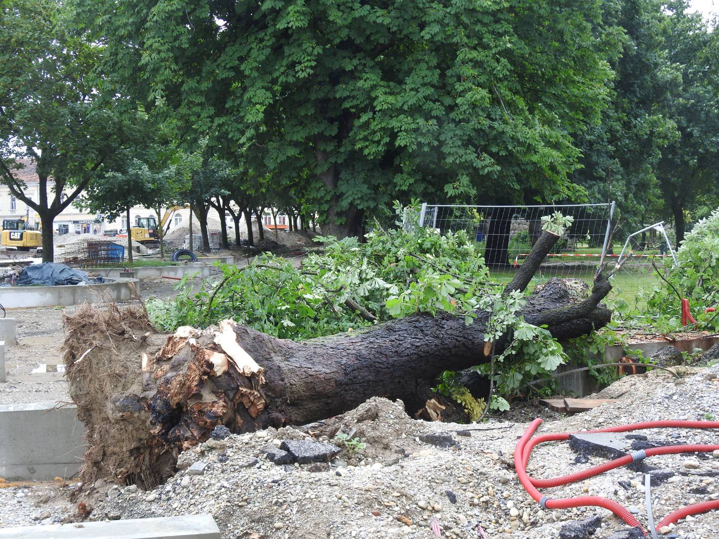 Strašno nevrijeme poharalo i Koprivnicu: Vjetar čupao i lomio stabla, nastala ogromna šteta