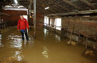 Očajni Slavonac: ‘Poplave su mi devet puta uništile farmu’