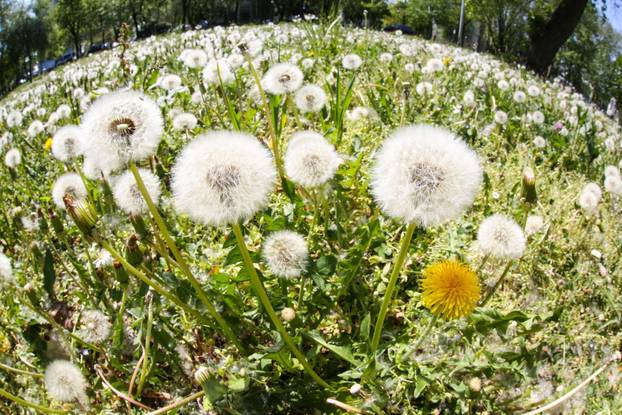 Na današnji dan obilježava se Dan planeta Zemlje