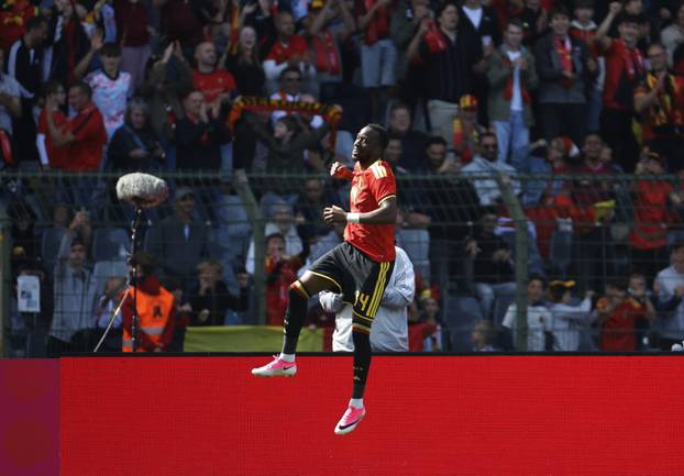 International Friendly - Belgium v Tunisia