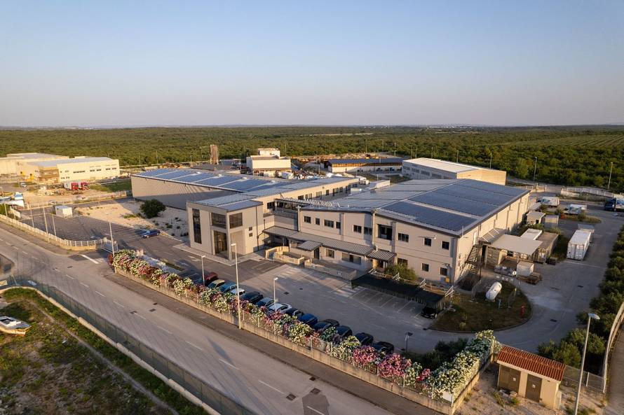 Održivost u ribljoj industriji: Kako čuvamo oceane?