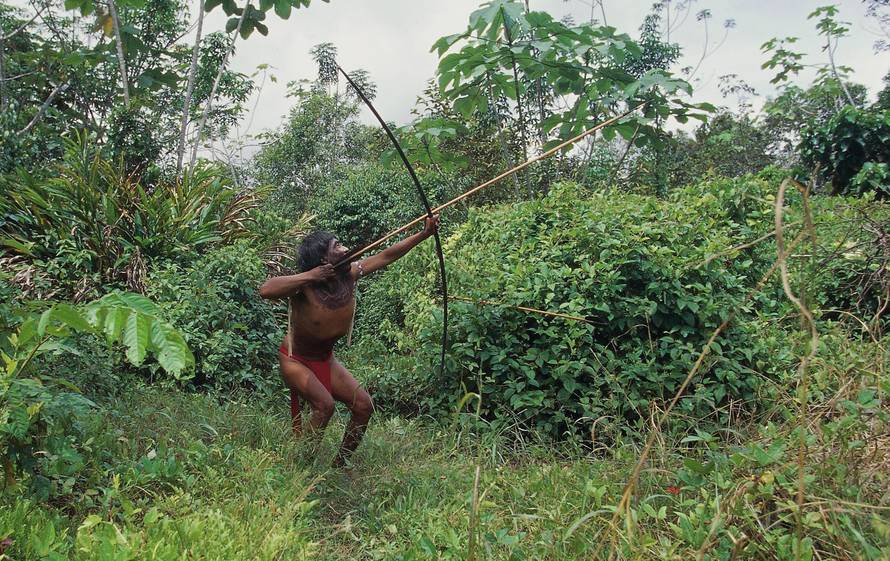 Venezuela Guayana Amazonas, near Rio Siapa. Indio Yanomami tribe Cavaroa hunting in forest. man in a