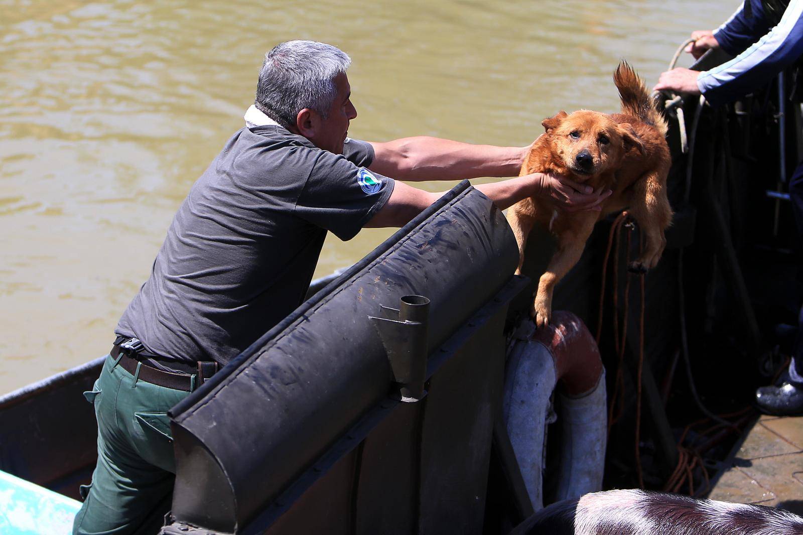 Pet godina od poplave u Gunji: Još malo i ostat će samo starci