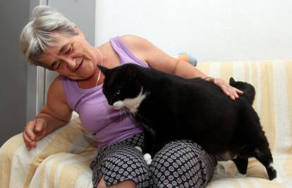 Mucika smršavjela, ali je još najdeblja maca u Hrvatskoj