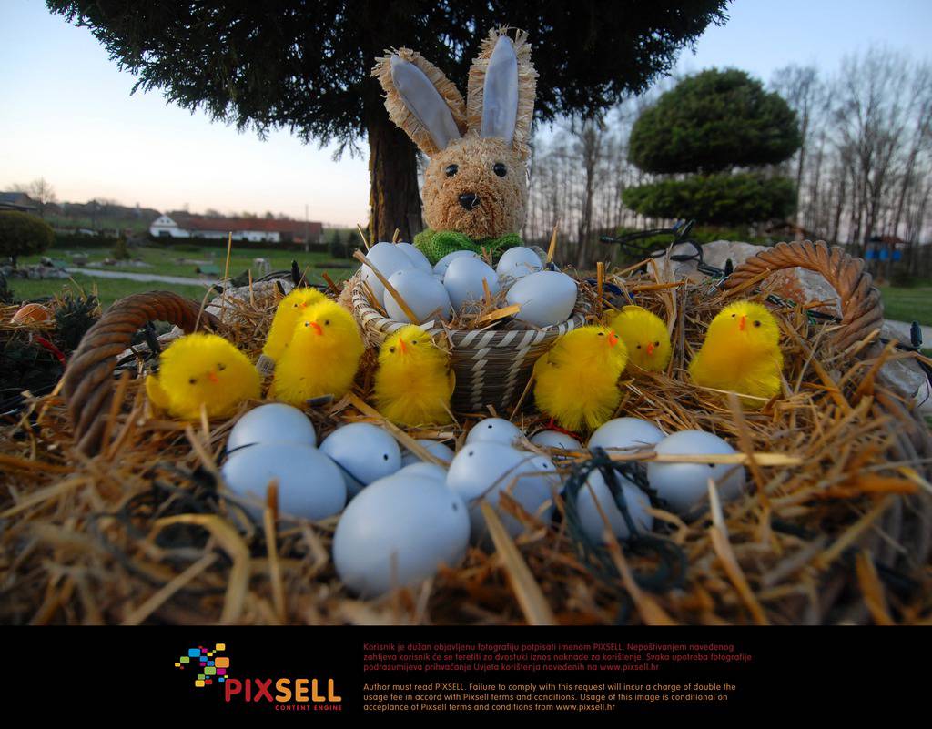 Pixsell