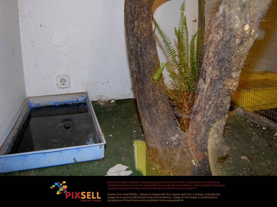 Ivica Galović/Pixsell