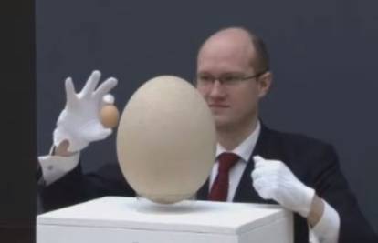 Ogromno jaje izumrle ptice prodaju na aukciji 
