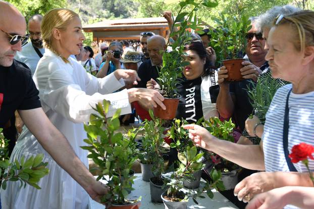 Skradin: NP Krka podijelio 1000 sadnica autohtonog drve?a