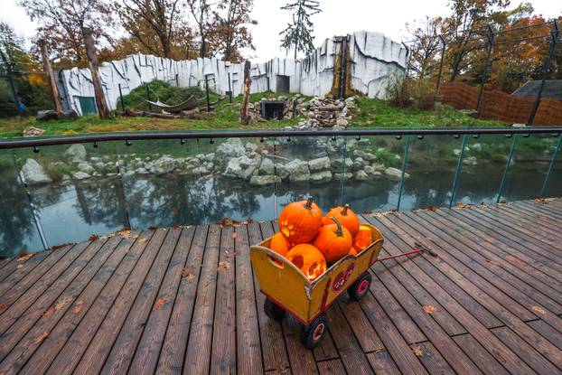 Zagreb: U Zoološkom vrtu organizirana podjela slasnih bundeva životinjama