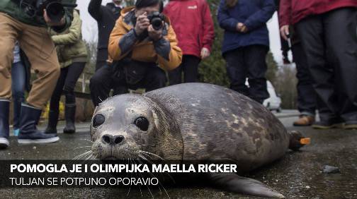 Dužni su 'kao Grčka': Naši ministri grcaju u kreditima