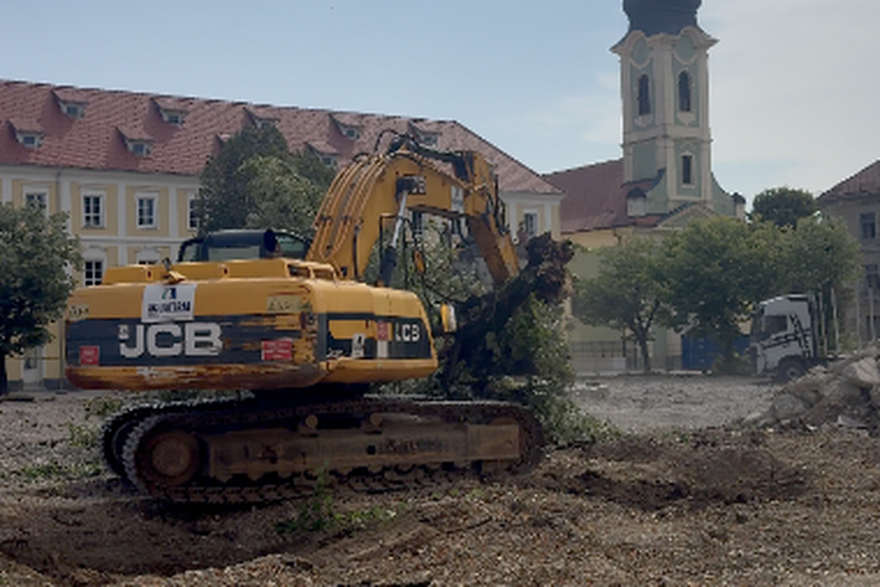 Ru&scaron;enje lipa u Karlovcu