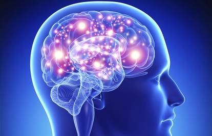 'Neuroni za pamćenje prestaju se proizvoditi nakon 13 godine'