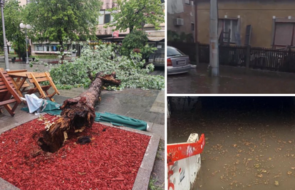 VIDEO Nevrijeme poharalo  i Srbiju: Jak vjetar čupa drveće i krovove, voda prijeti kućama