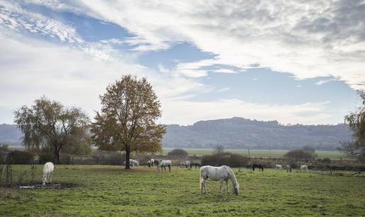 Pronađite inspiraciju za vaš savršeni vikend: Aurea Pannonia