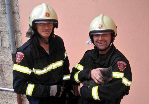 Mačka nekoliko dana patila u dimnjaku, spasili ju vatrogasci