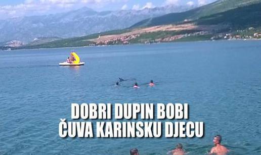 Veselje na karinskoj plaži: Dupin Bobi svako jutro pliva s djecom