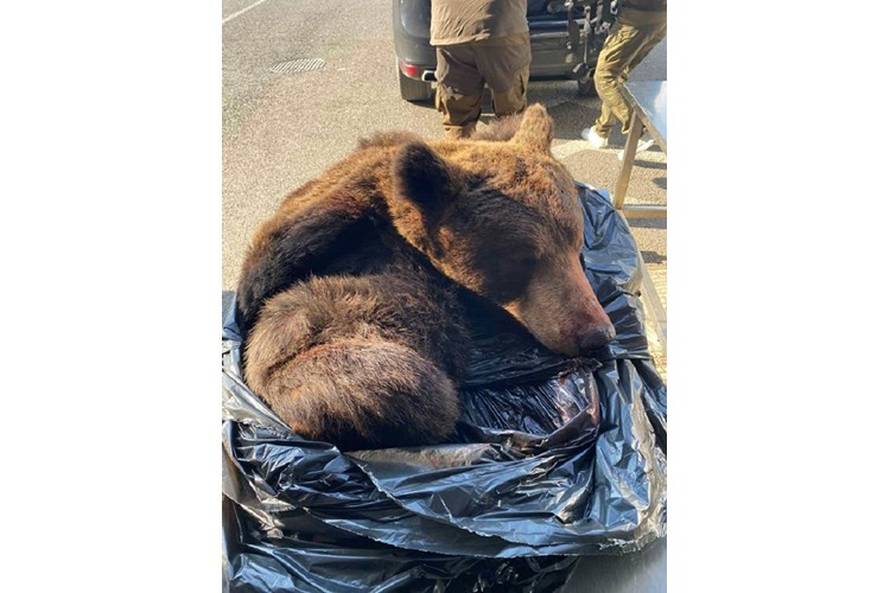 OBA SU PALA Jedan na granici s Hrvatskom imao hrpu gotovine, drugi kožu mrtvog medvjeda!