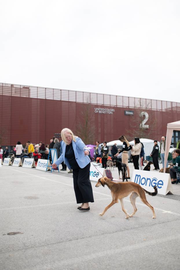 U Zaprešiću održana CAC nacionalna izložba pasa