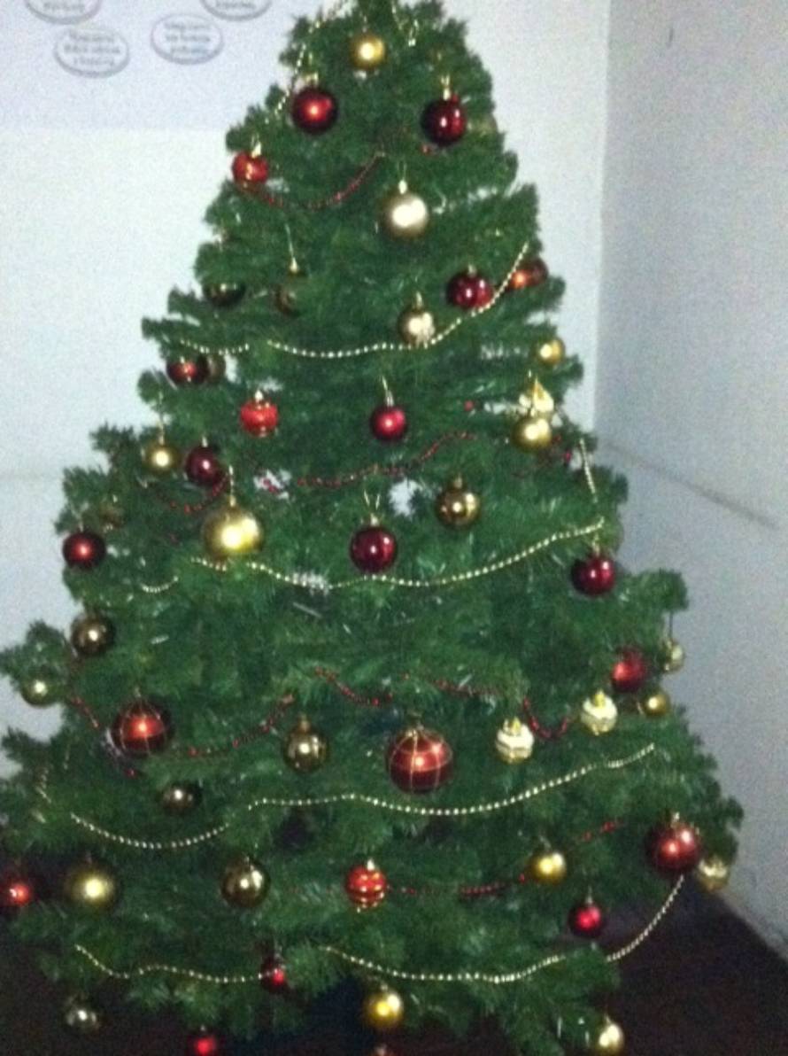 Šaljite fotografije božićnih jelki i osvojite vrijednu nagradu...