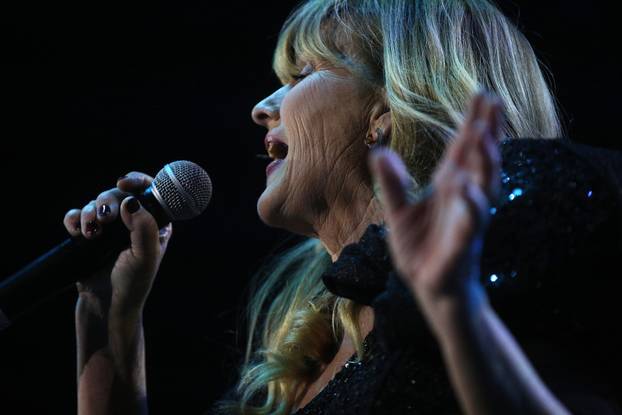 Zagreb: Održan je koncert Sanja, Marinko i Zec - 55 godina grupe Novi fosili