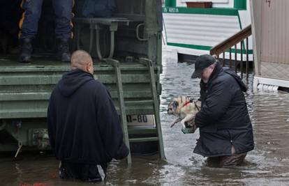 Vatrogasci i volonteri pobijedili Sandy i spasili stotine životinja