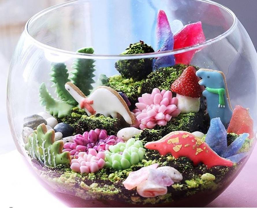 Čokoladni terarij: Može li bolje?