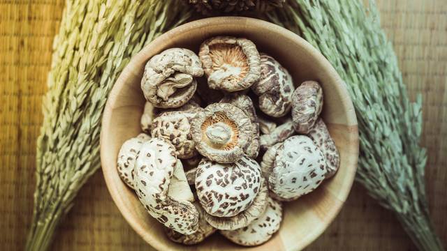 Moćne kineske gljive protiv tumora i upala - reishi, shiitake
