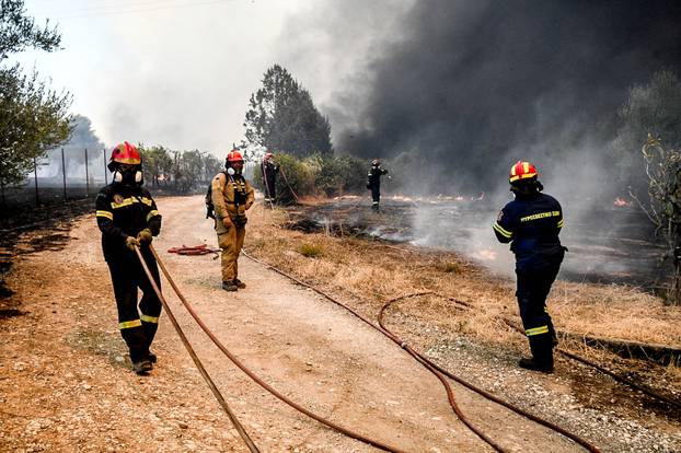Wildfire burns in Achaia