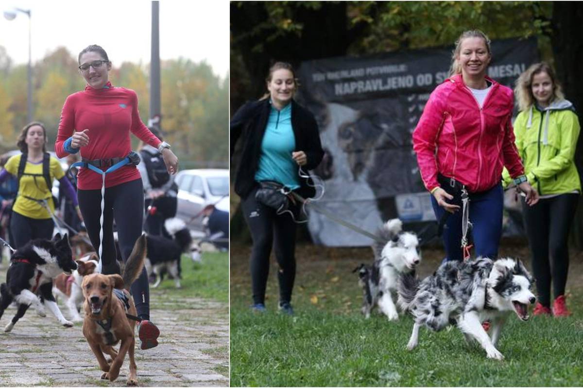Trči sa psima iz azila, možda ih udome: Pomoć te traži i mačak