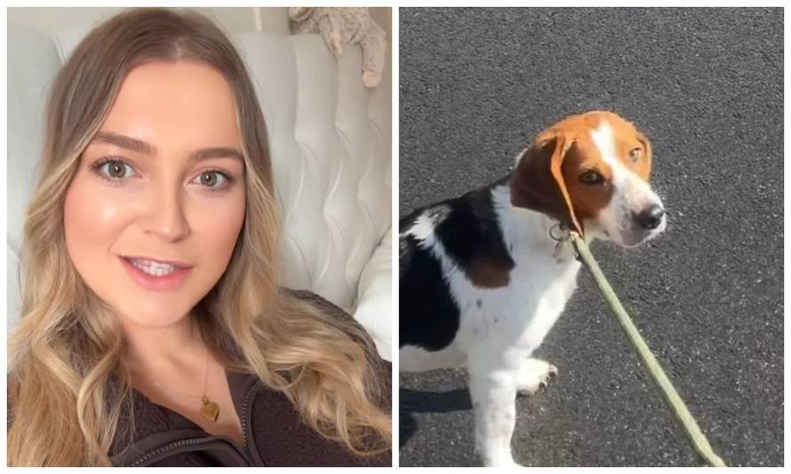 Žena primijetila kako se pas ponaša drugačije u šetnji: 'To mi je razotkrilo ovu muževu tajnu!'