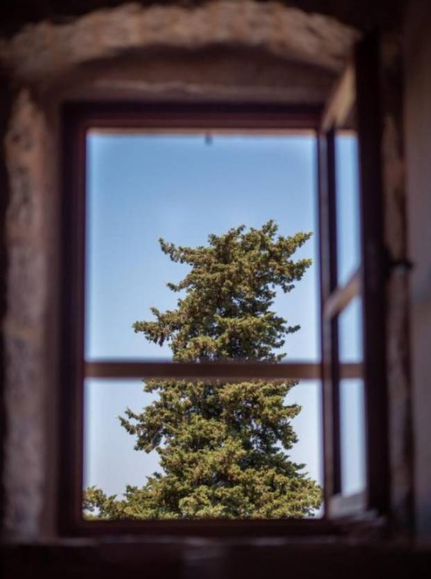 FOTO Dvor Pitve Villas: Mir i autentičnost otoka Hvara u malom dalmatinskom selu