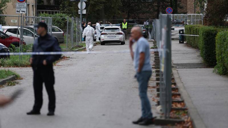 Policija otkrila za što tereti napadača: Nožem krenuo na troje, devetero djece gledalo