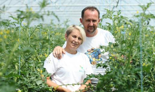 'U jabukama koje prodaje Eko Sever nisu pronađeni pesticidi'