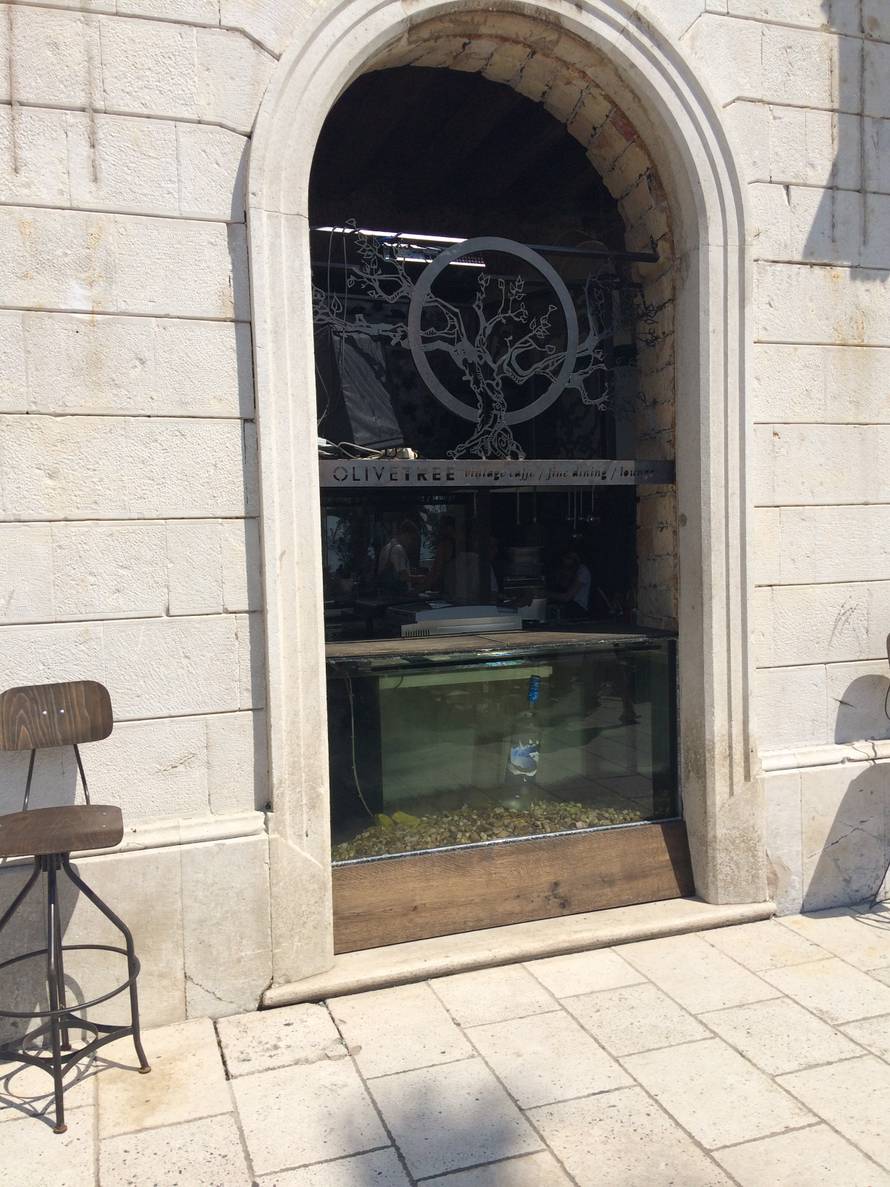 Pijani Australac(21) razbio je akvarij vrijedan 44 tisuće kuna