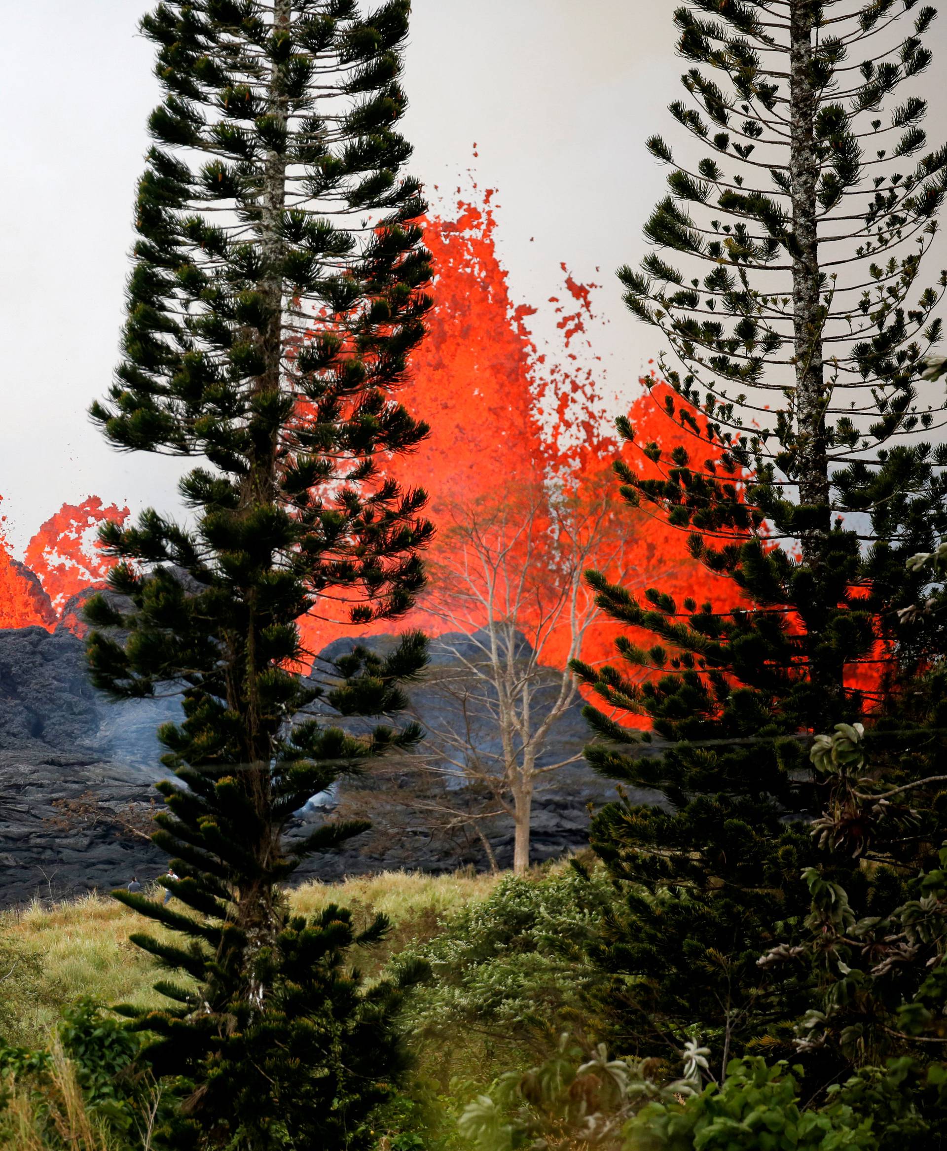 Lava erupts on the outskirts of Pahoa