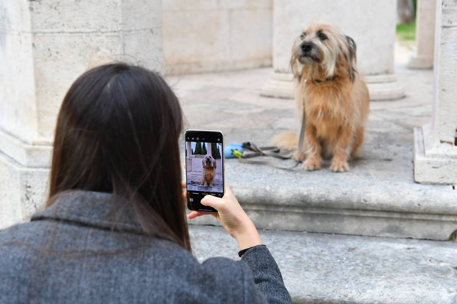 Plivačica Dina Levačić najavila podvige na četiri kontinenta