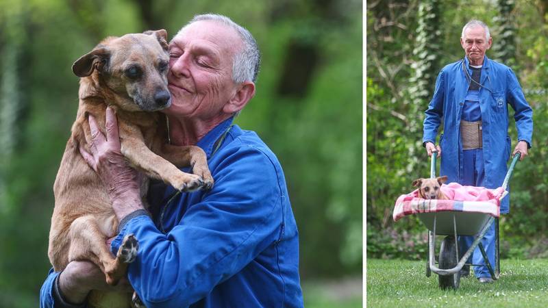 VJEČNI PRIJATELJI Psa svaki dan u tačkama vozi vani: Nikad neću napustiti svojeg Bobija (15)...