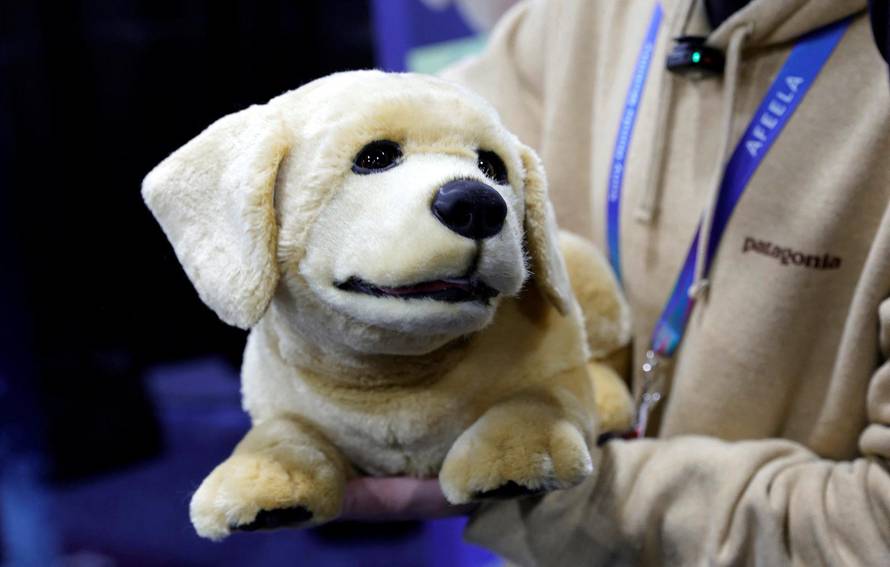 CES 2026, an annual consumer electronics trade show, in Las Vegas