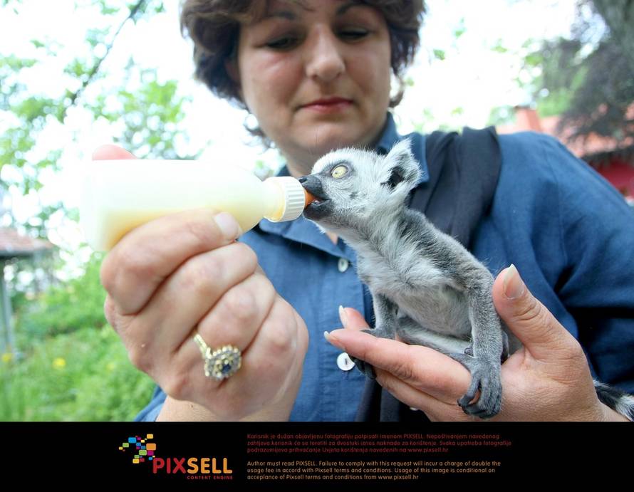 Petar Glebov/Pixsell