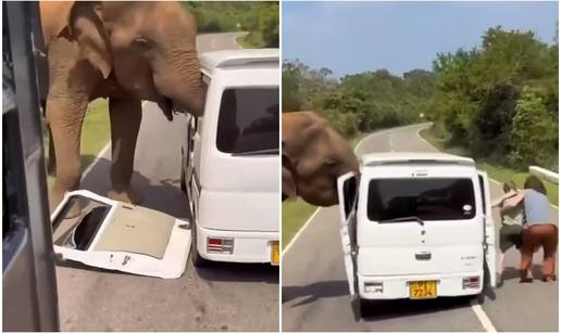 VIDEO Horor na safariju, slon od tri tone napao turiste. Obitelj bje&zcaron;ala: 'Zamalo nas je ubio!'