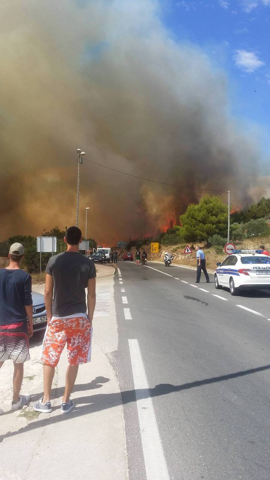 U Žaboriću gori borova šuma, vatrena stihija prijeti kućama
