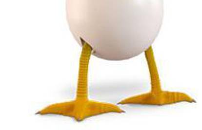 Web kladionica: Iz kojeg će se jajeta izleći prvo pile?