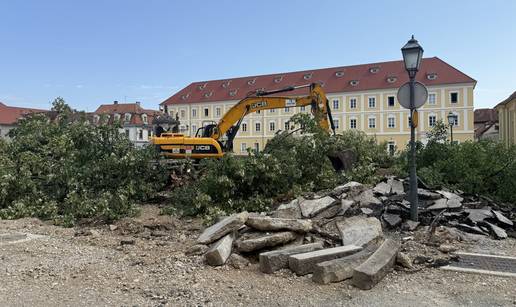 Karlovac: Bageri sru&scaron;ili lipe, Grad tvrdi da &cacute;e presaditi jedno stablo, privedene aktivistice