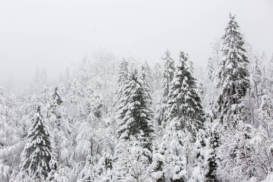 Snijeg prekrio Sljeme i Platak, Rijeka rekorder po količini kiše