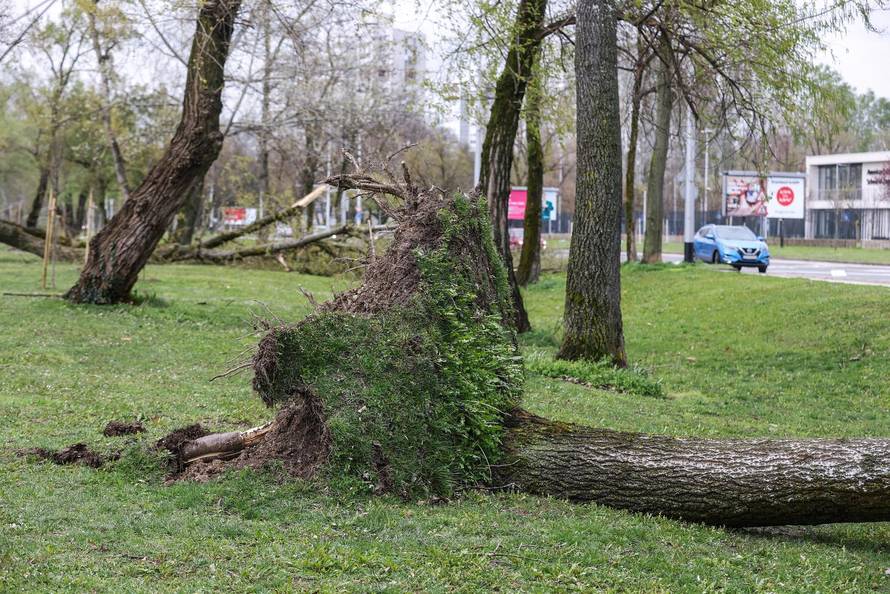 Zagreb: Olujno nevrijeme počupalo stabla na Bundeku 