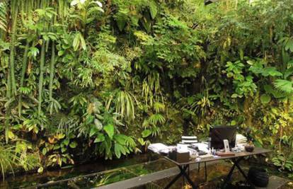 Dizajner od svojeg doma u Parizu napravio pravu džunglu