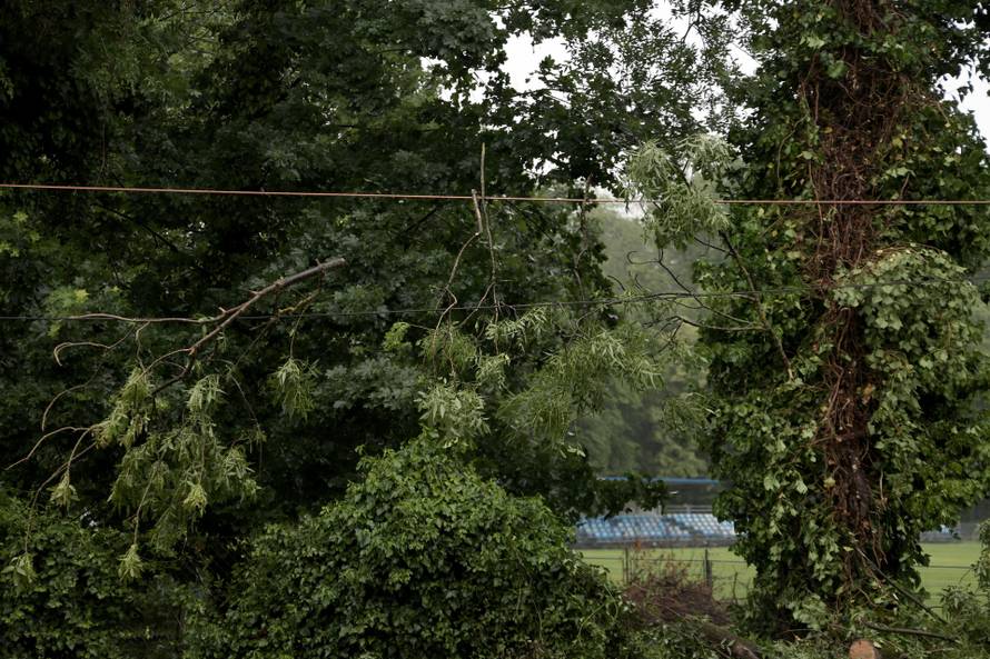 Zagreb: Palo stablo na Maksimirskoj, blokiran promet, vatrogasci na terenu