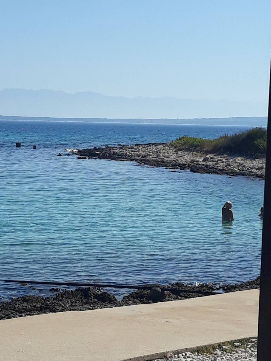 'Lešina dupina danima leži na plaži i raspada se. Jako smrdi'