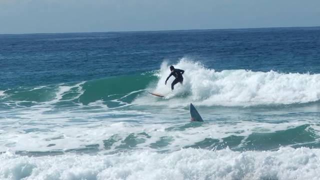 Morski pas ubio surfera koji je izignorirao istaknute zabrane!